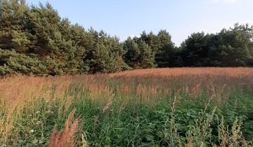 Działka leśna Działoszyn, ul. Cmentarna