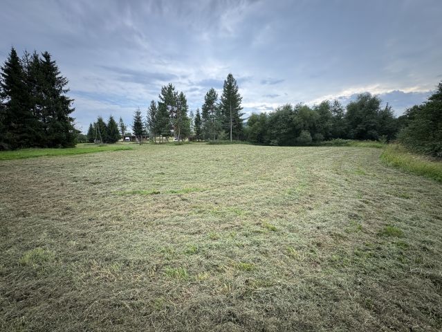 Działka budowlana Osławica. Zdjęcie 1