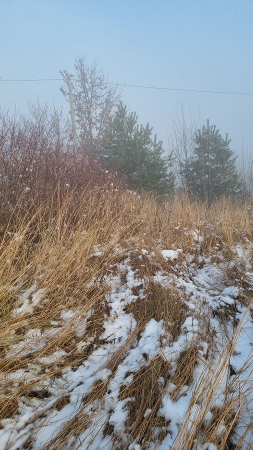 Działka rolno-budowlana Wapowce. Zdjęcie 2