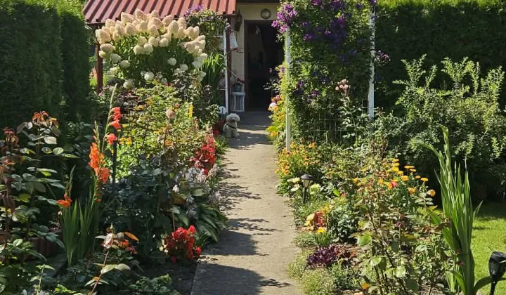 Działka rod Szczecin Krzekowo, Lukasińskiego