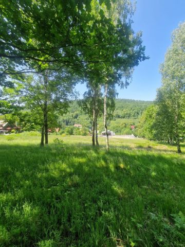 Działka budowlana Świeradów-Zdrój, ul. Osiedlowa. Zdjęcie 1