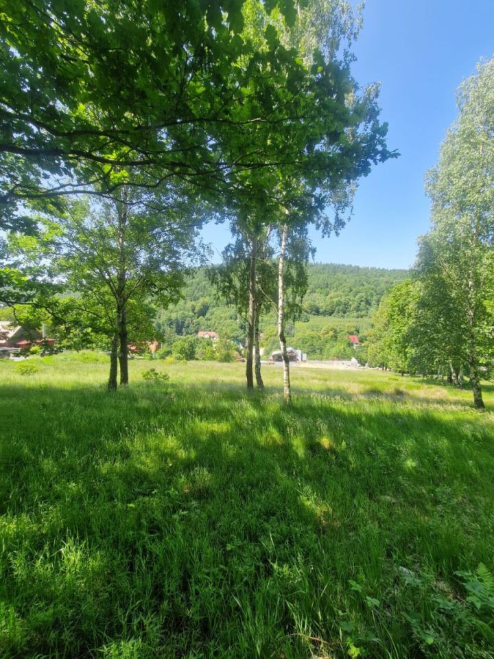 Działka budowlana Świeradów-Zdrój, ul. Osiedlowa. Zdjęcie 1