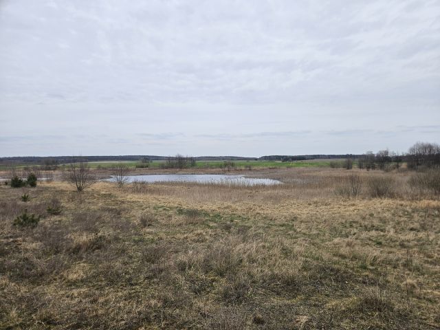 Działka rolna Nowy Dwór. Zdjęcie 5