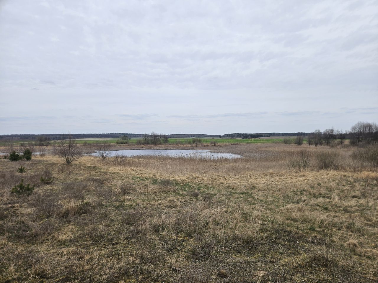 Działka rolna Nowy Dwór. Zdjęcie 5