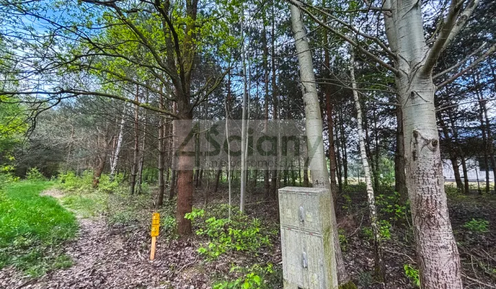 Działka budowlana Zalesie