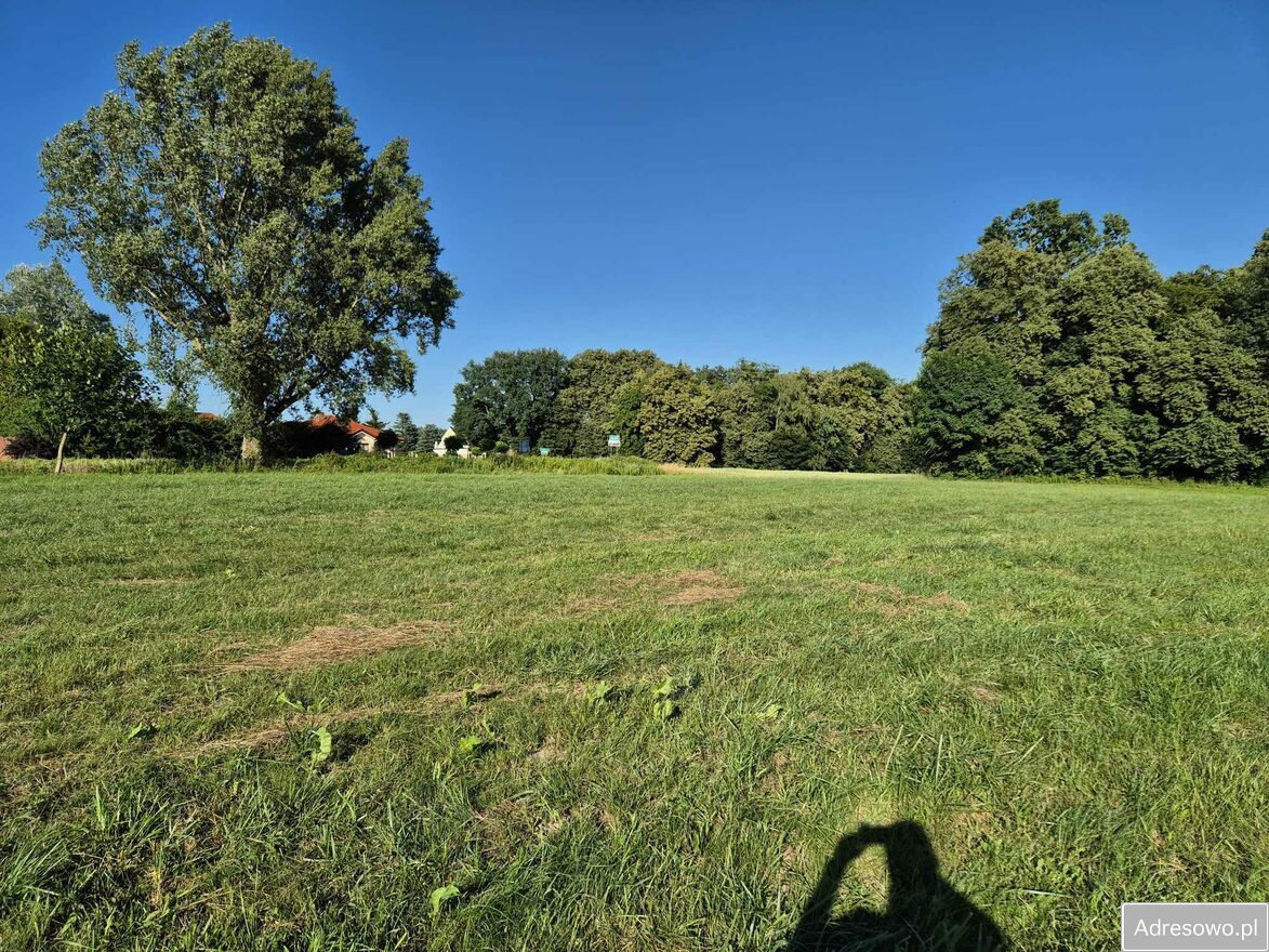 Działka rolno-budowlana Kazimierz Dolny Wylągi. Zdjęcie 2