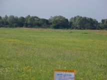 Działka rolna Tuchlin. Zdjęcie 1