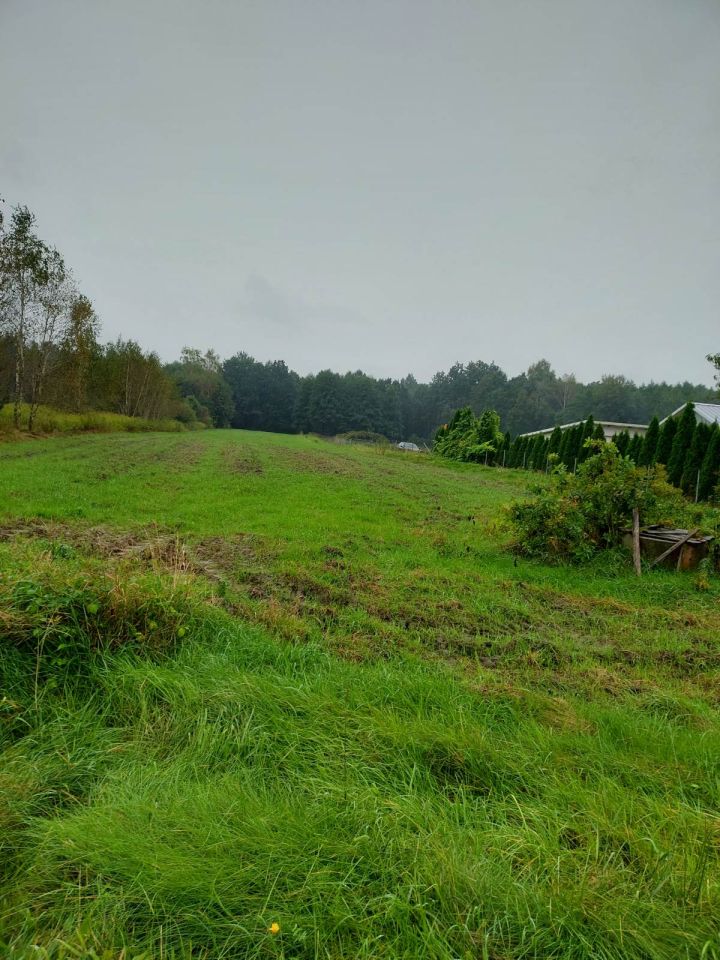 Działka budowlana Podborze Podlesie, Podborze