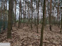 Działka budowlana Marianów, al. Jodłowa. Zdjęcie 2