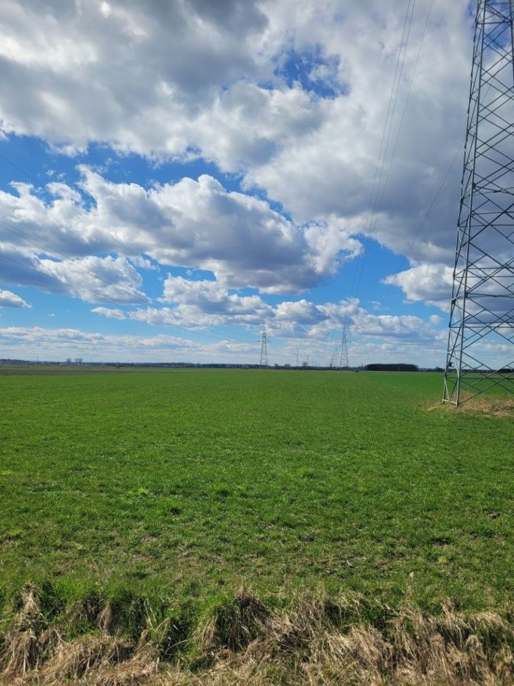 Działka rolna Kosorowice. Zdjęcie 2