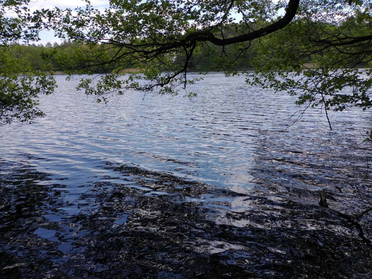 Działka rekreacyjna Jeleń. Zdjęcie 7