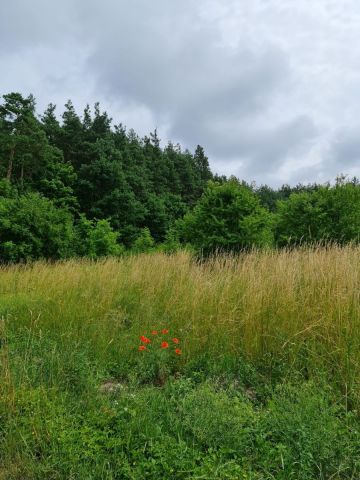 Działka budowlana Oleszno, ul. Lednicka. Zdjęcie 5