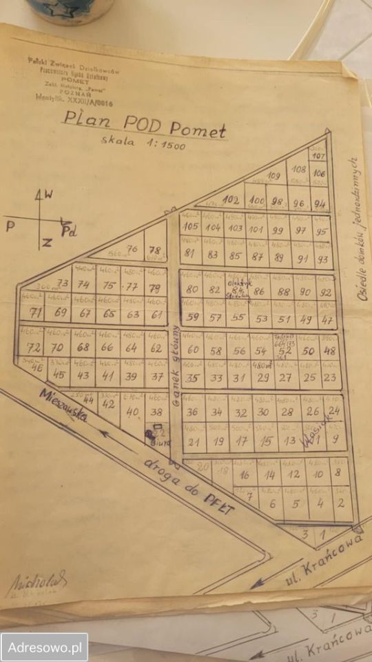 Działka rod Poznań Nowe Miasto, ul. Krańcowa. Zdjęcie 10