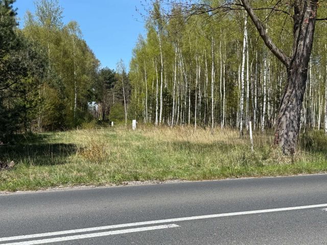 Działka budowlana Rybna, ul. Kręta. Zdjęcie 9