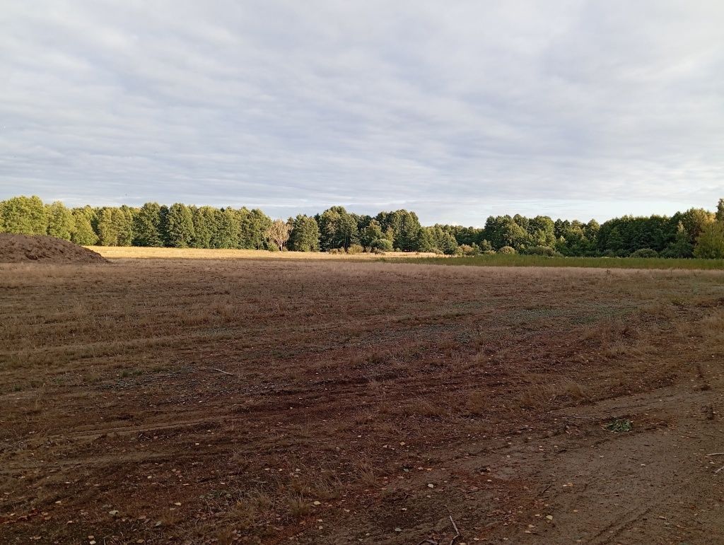 Działka budowlana Szczawin Kościelny. Zdjęcie 3