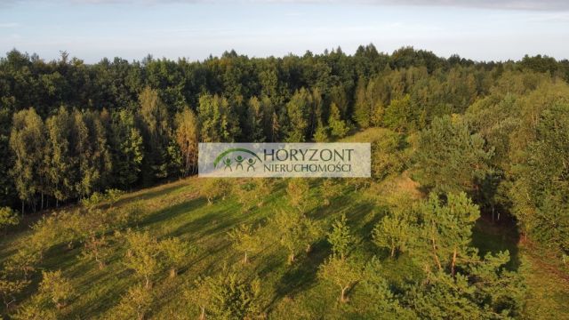 Działka inwestycyjna Babidół. Zdjęcie 13