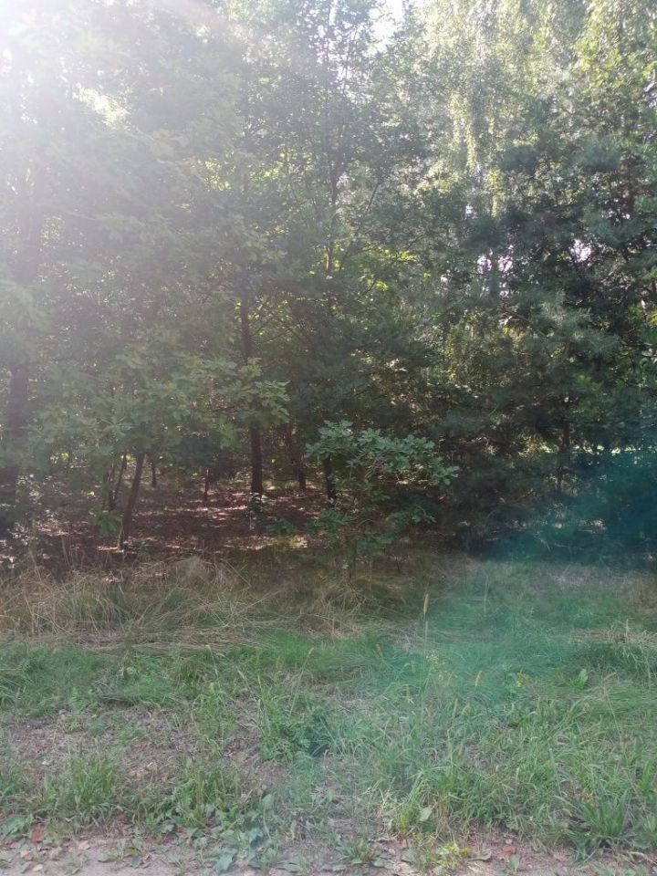 Działka rolna Wola Serocka. Zdjęcie 4