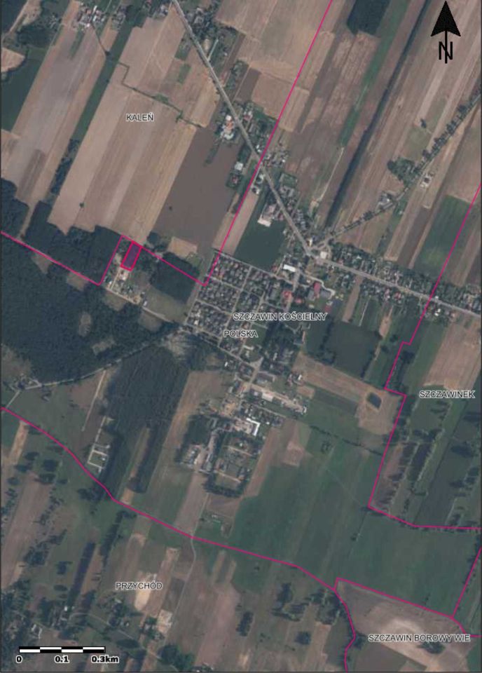 Działka leśna Szczawin Kościelny. Zdjęcie 2