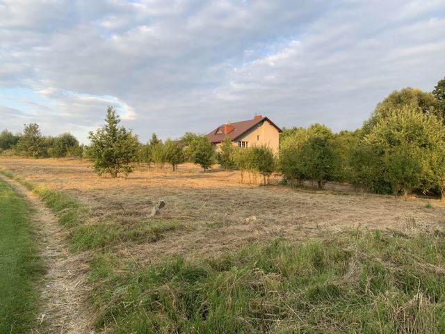 Działka budowlana Filipowice. Zdjęcie 1