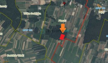 Działka leśna Ptaszki