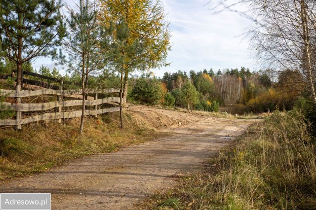 Działka budowlana Stare Czaple. Zdjęcie 1
