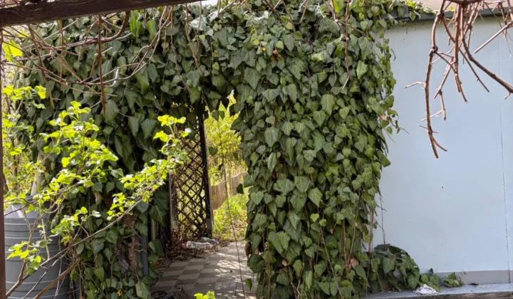 Działka rod Bielsko-Biała Lipnik