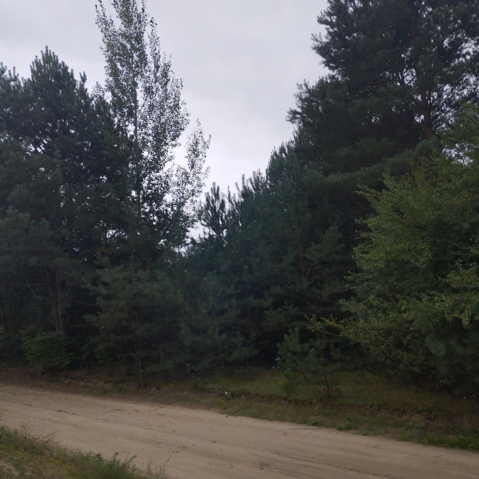 Działka budowlana Nagodów. Zdjęcie 7