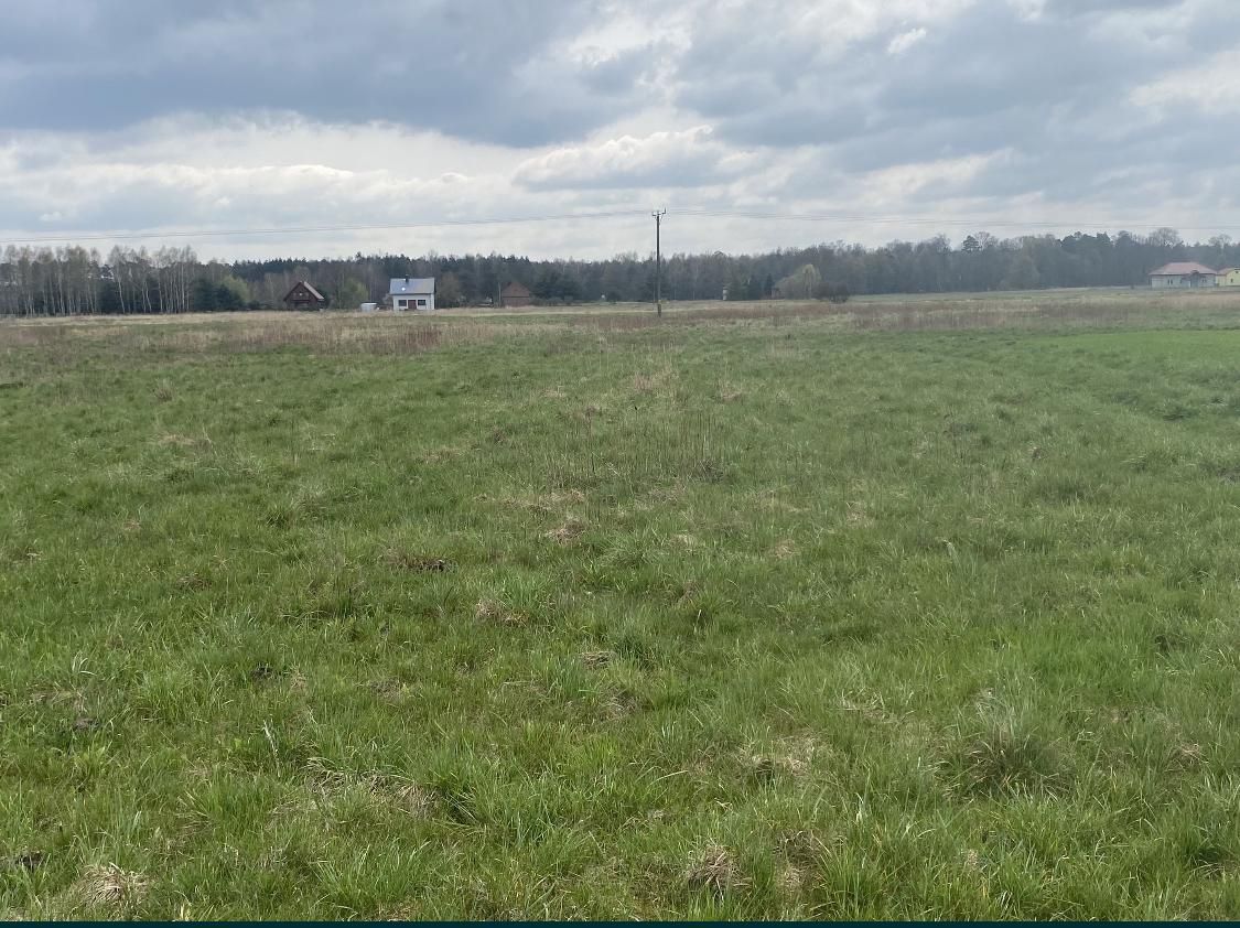 Działka inwestycyjna Jełowa, ul. Polna. Zdjęcie 5