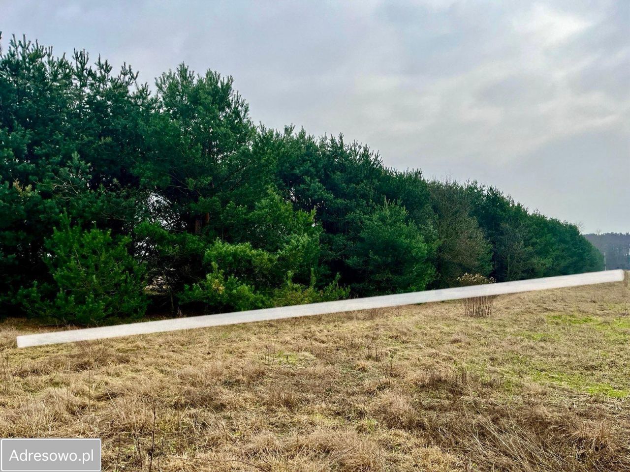 Działka inwestycyjna Słopsk, ul. Kolonijna. Zdjęcie 7