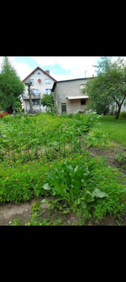 dom wolnostojący Rybno. Zdjęcie 4