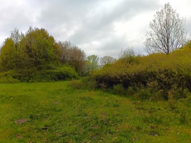 Działka rolna Smogorzewo Pańskie. Zdjęcie 13