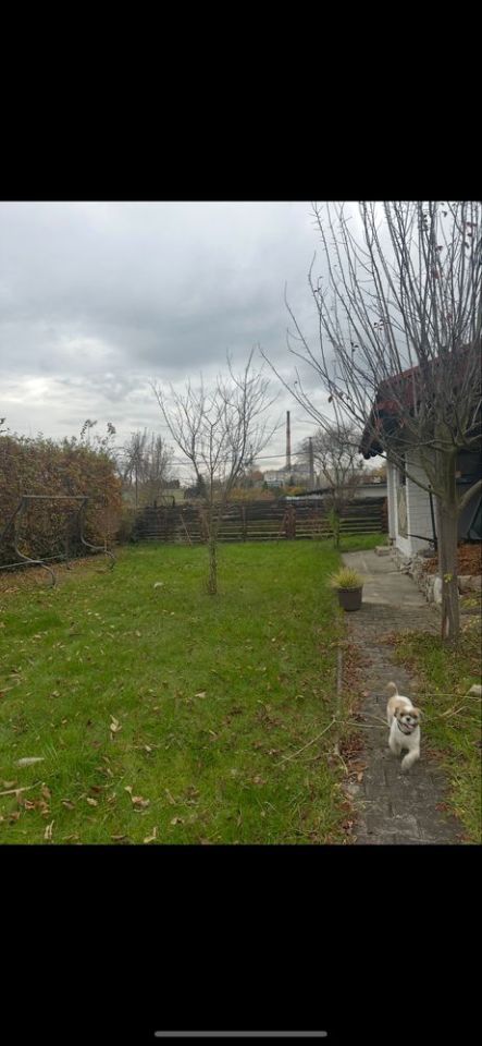 Działka rod Jastrzębie-Zdrój. Zdjęcie 8