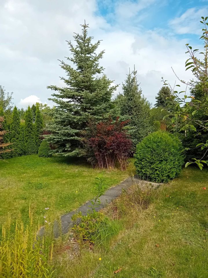 Działka rod Łódź Polesie. Zdjęcie 2