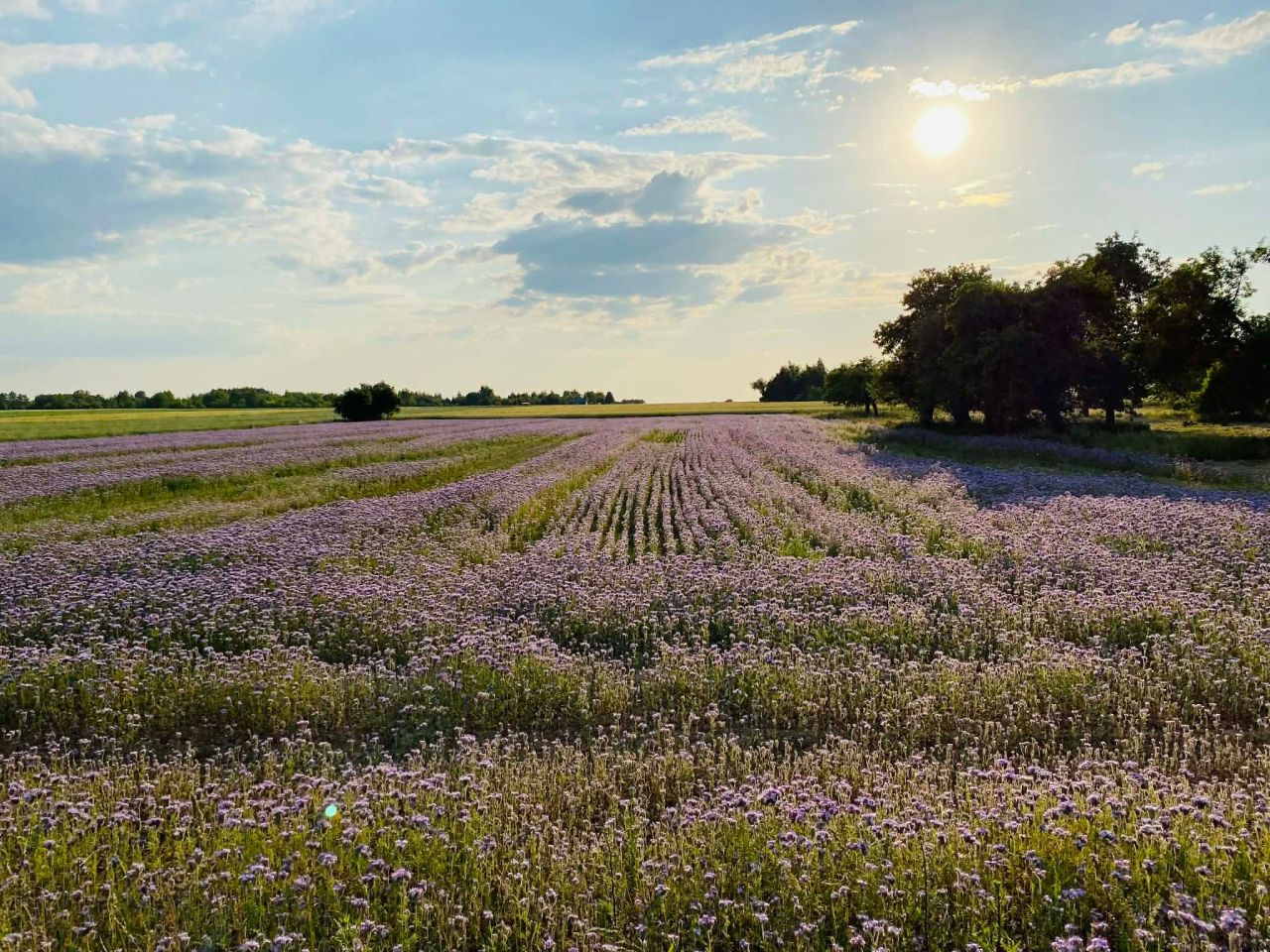 dom letniskowy, 3 pokoje Świeszewko. Zdjęcie 3