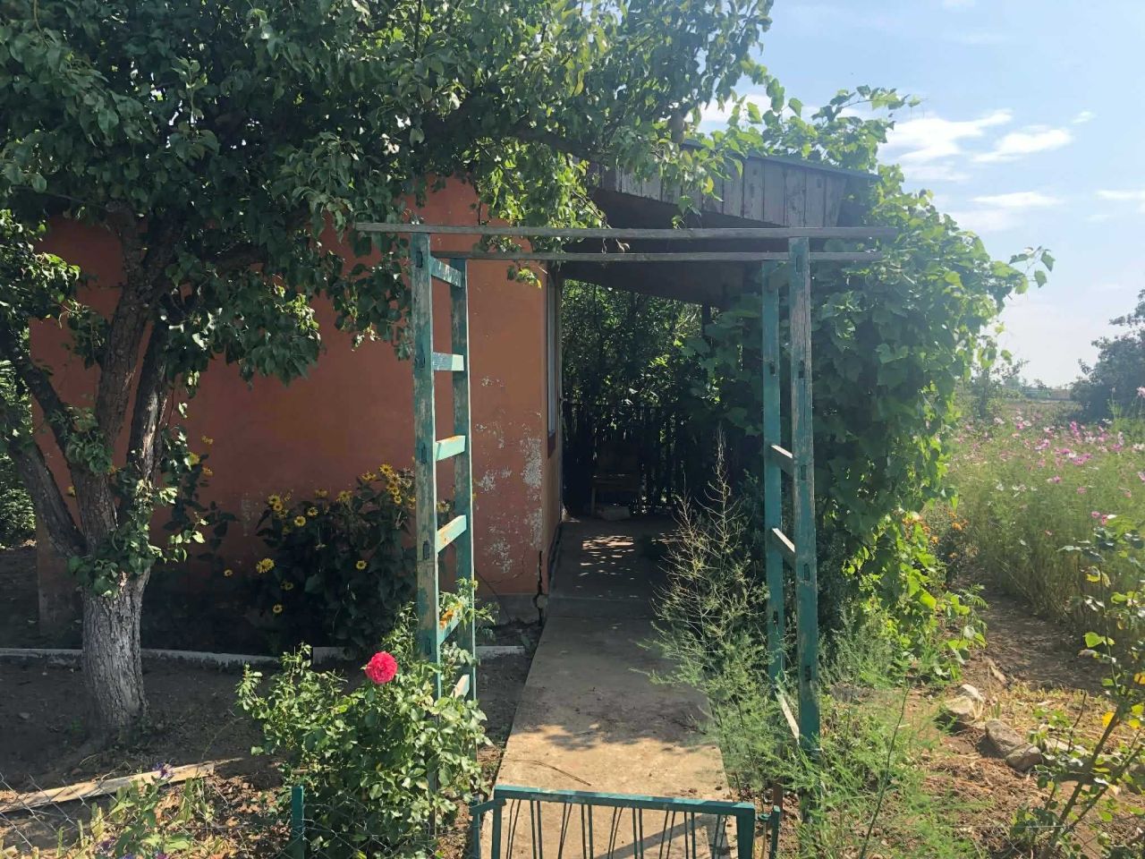 Działka rod Nowy Dwór Gdański. Zdjęcie 2