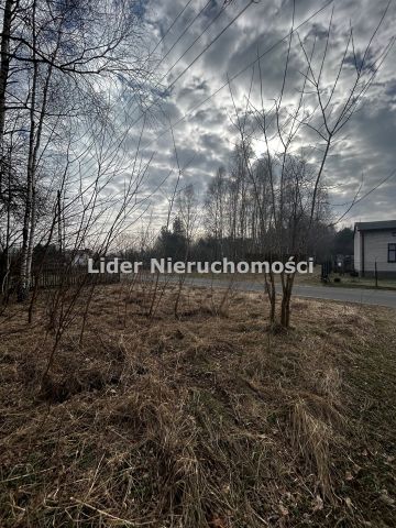 Działka rolno-budowlana Grzeszyn. Zdjęcie 4