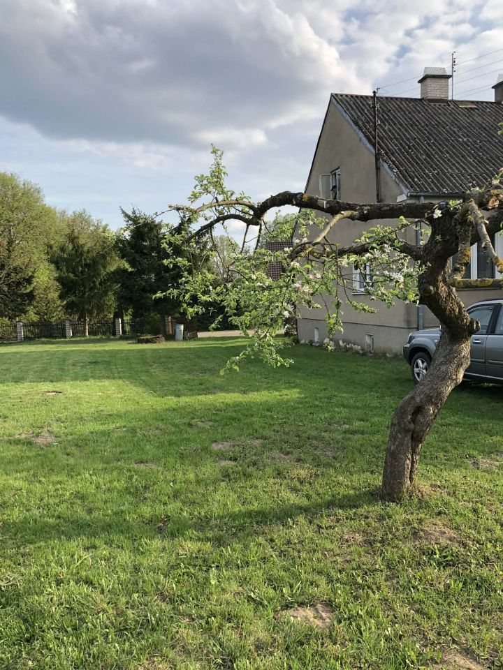 dom wolnostojący, 3 pokoje Kotowo-Plac. Zdjęcie 14