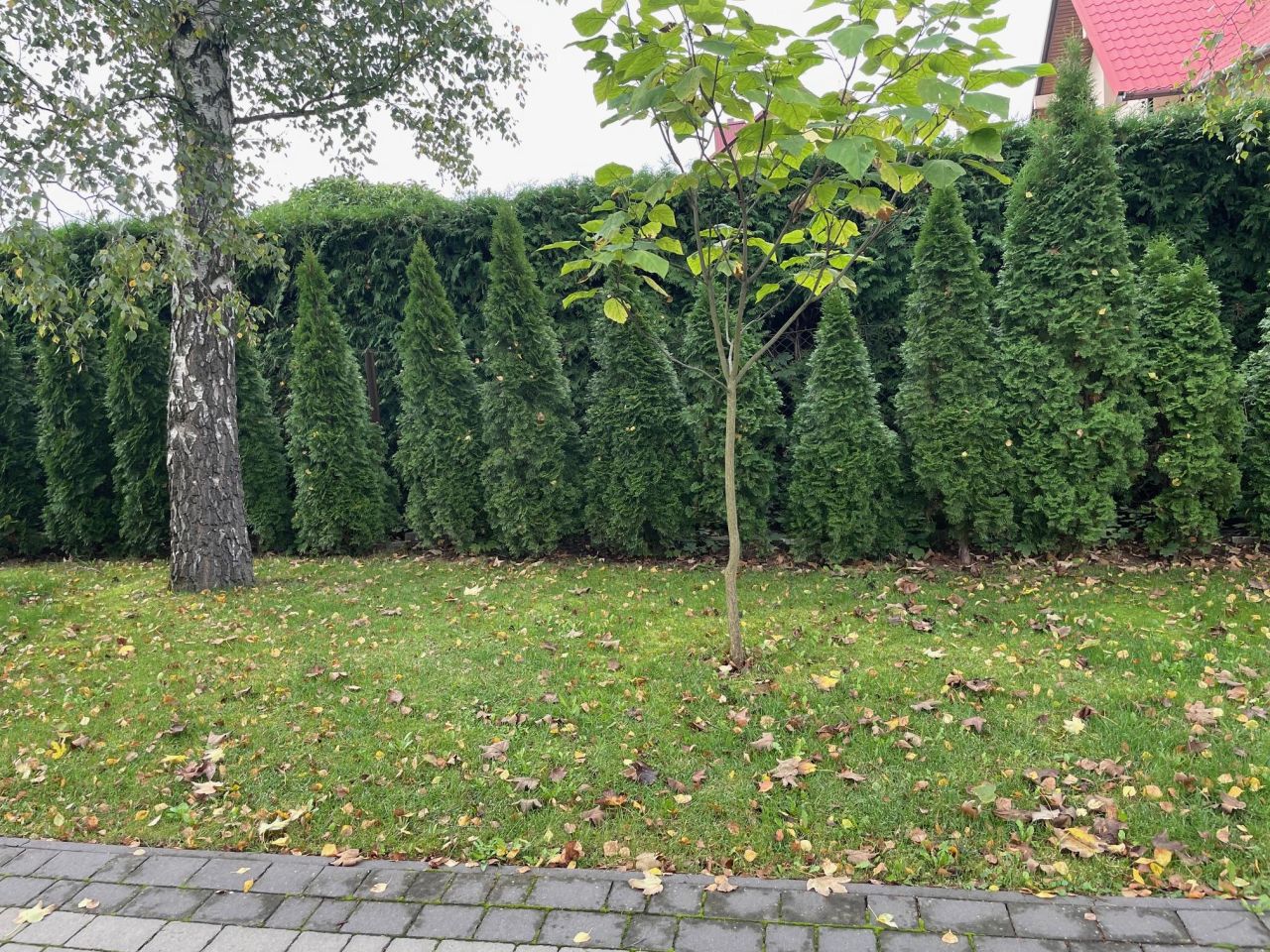dom wolnostojący Rzeszów Staromieście, ul. Lubelska. Zdjęcie 9