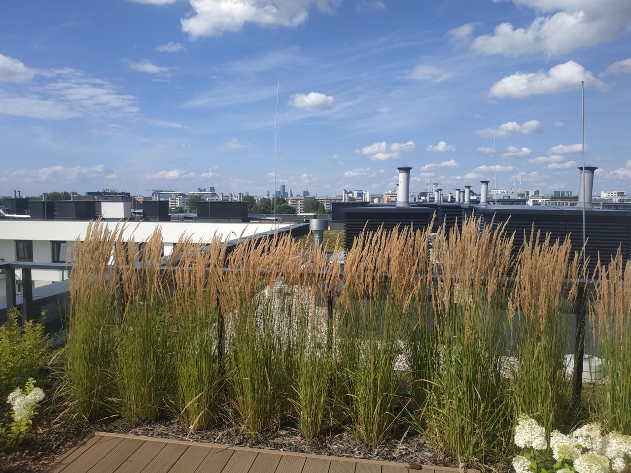 Mieszkanie 4-pokojowe Warszawa Mokotów, ul. Bokserska. Zdjęcie 20