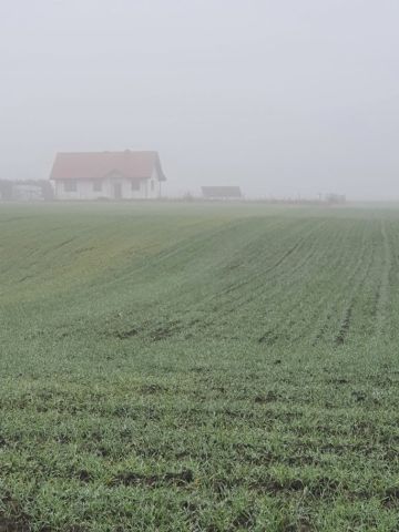 Działka inwestycyjna Krusza Zamkowa. Zdjęcie 1