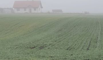 Działka inwestycyjna Krusza Zamkowa