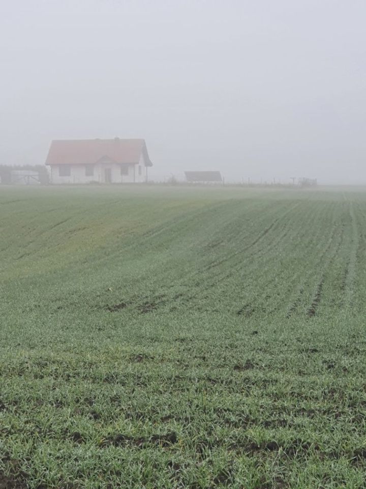 Działka inwestycyjna Krusza Zamkowa