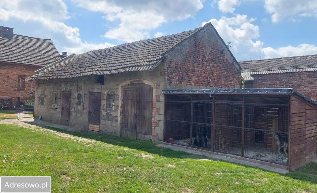 dom wolnostojący, 3 pokoje Starokrzepice. Zdjęcie 1