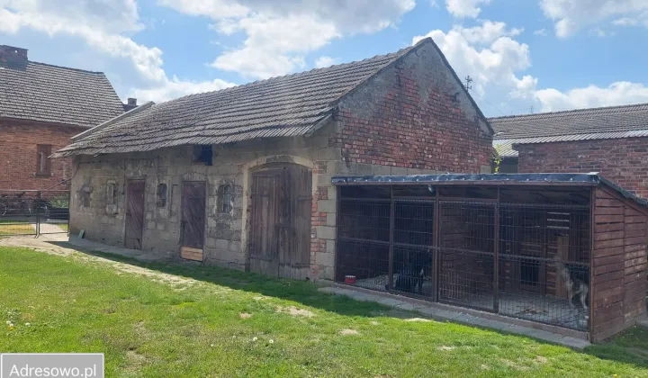 dom wolnostojący, 3 pokoje Starokrzepice