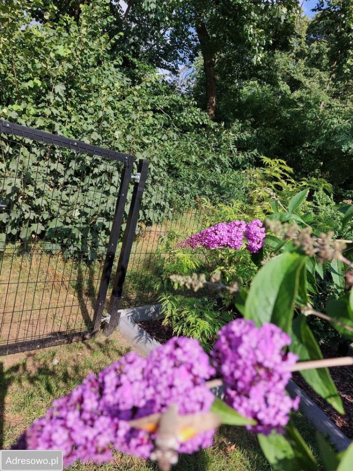 dom wolnostojący, 5 pokoi Łagów, ul. Widokowa. Zdjęcie 14