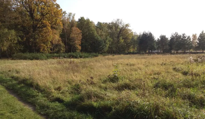 Działka budowlana Oborniki Śląskie, ul. Słoneczna
