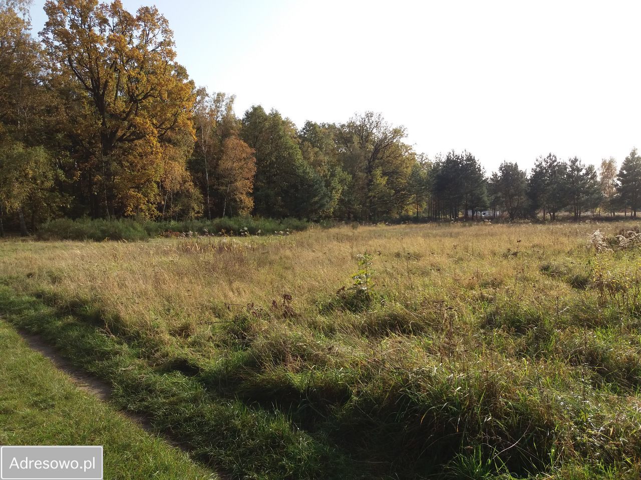 Działka budowlana Oborniki Śląskie, ul. Słoneczna. Zdjęcie 1