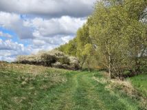 Działka budowlana Łubianka, ul. Aleja Jana Pawła II. Zdjęcie 1