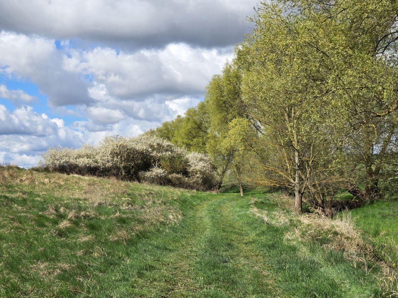 Działka budowlana Łubianka, ul. Aleja Jana Pawła II. Zdjęcie 2
