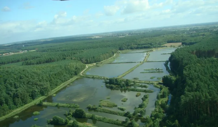 Nieruchomość komercyjna Sławno